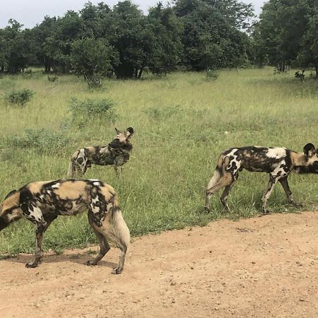 Marula Lodge Mfuwe ภายนอก รูปภาพ