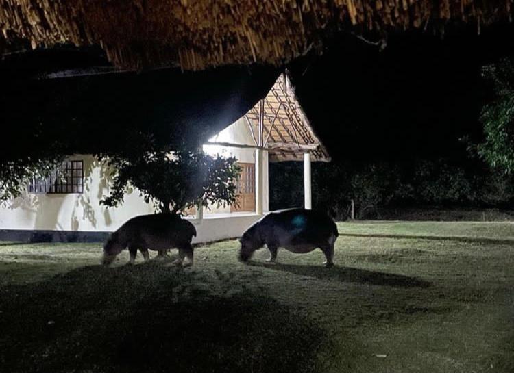 Marula Lodge Mfuwe ภายนอก รูปภาพ